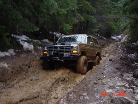 1989 Ford Bronco - So close