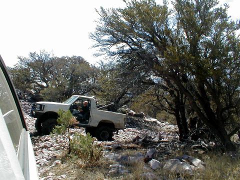 1996 Ford Bronco - A white pickup truck navigates a challenging, rocky landscape under sparse trees.
