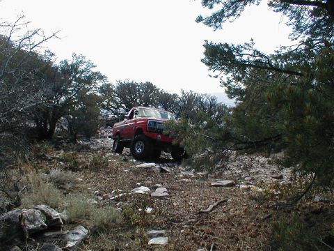 1996 Ford Bronco - A red 1996 Ford Bronco navigates a , rocky trail surrounded by sparse vegetation and trees.