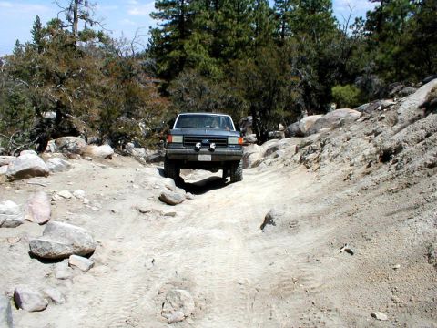 1996 Ford Bronco - Ford Bronco navigating a challenging off-road trail with trees and rocks surrounding the path.