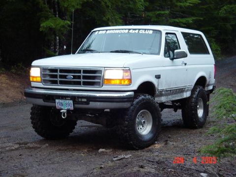 1989 Ford Bronco - Alvie came for support