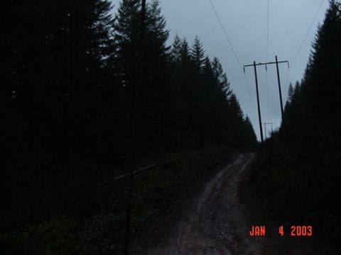 1989 Ford Bronco - We did a bunch of powerlines in the dark