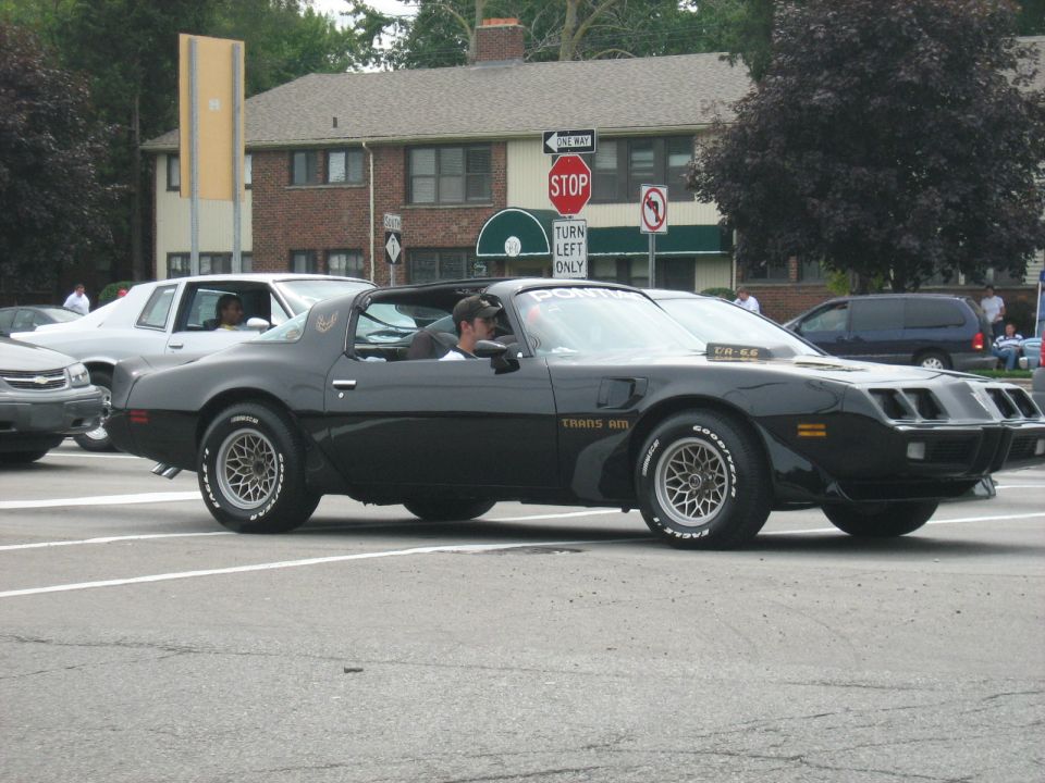 Black 1977 Pontiac Trans Am with gold trim and honeycomb wheels driving on a street. Other cars visible
