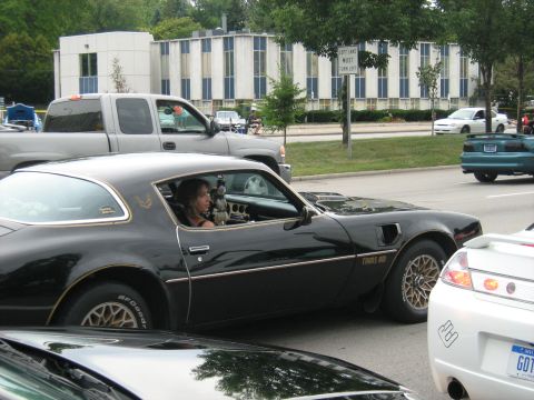 1988 Mercury Grand Marquis - A black Pontiac Firebird Trans Am is seen in traffic next to other vehicles, with a building in the background.