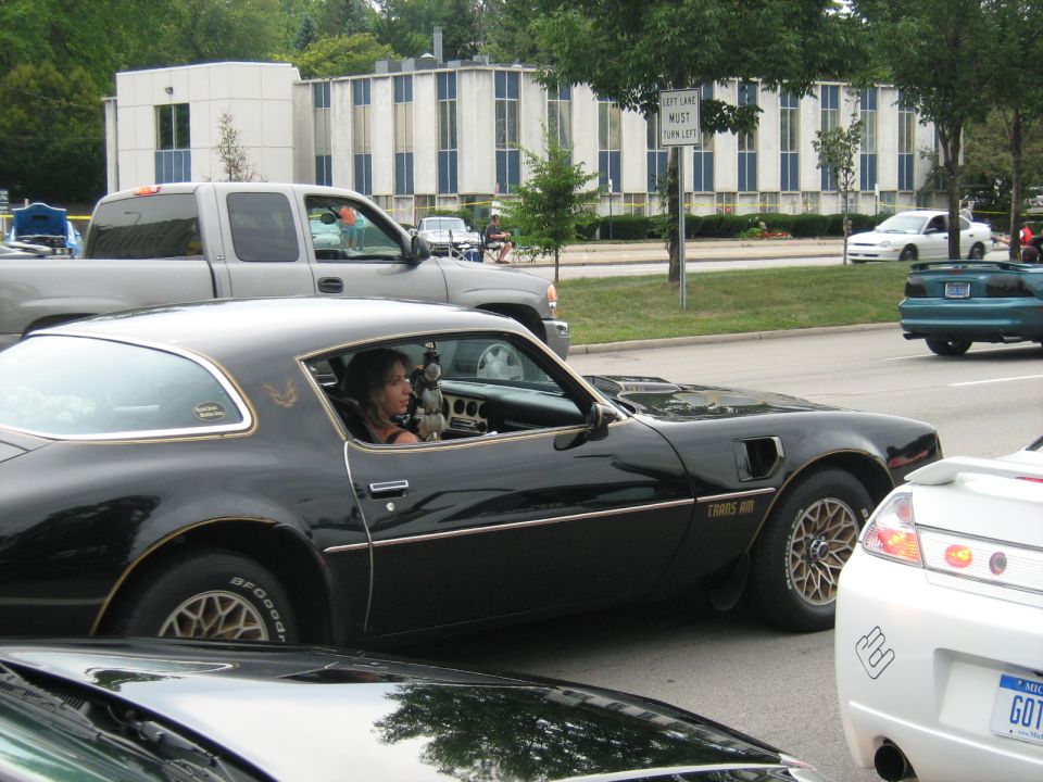 Black 1977 Pontiac Firebird Trans Am with gold trim and wheels, driver visible. Other cars and a building in background