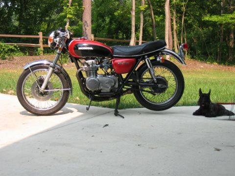 1985 Ford LTD Crown Victoria - A red and black Honda motorcycle is parked on a concrete driveway with a Scottish Terrier resting nearby.