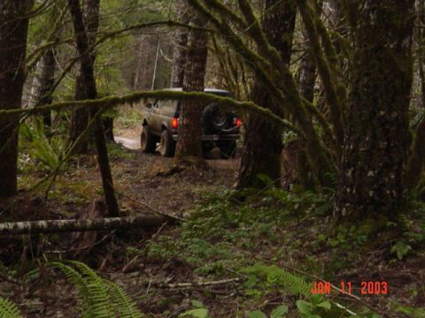1989 Ford Bronco - Thru the woods towards the Powerlines