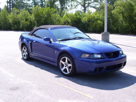 2003 Ford Mustang - :-)
