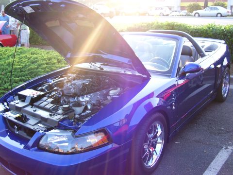 2003 Ford Mustang - Teds