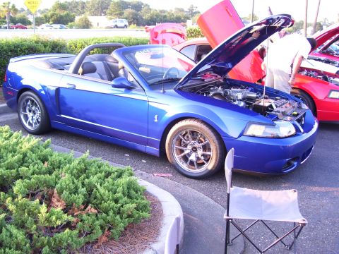 2003 Ford Mustang - Teds