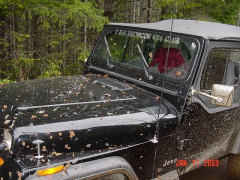 1989 Ford Bronco - I kinda got some goo on the Jeep