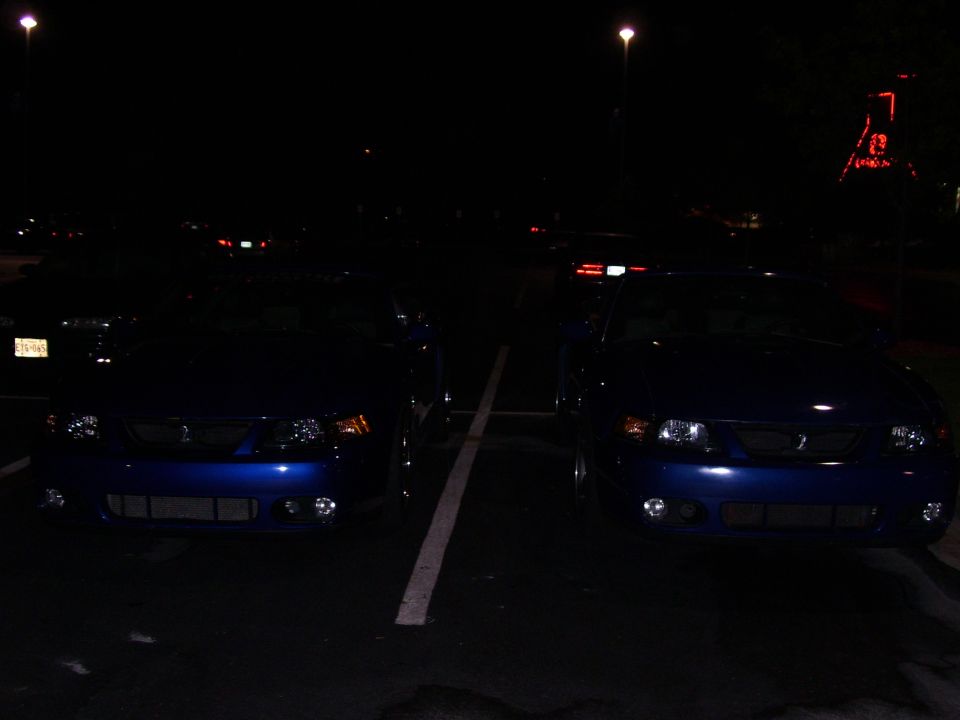 Two blue 2003 Ford Mustangs parked at night