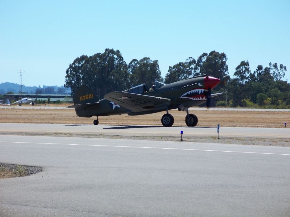Green P-40 Warhawk airplane with shark teeth nose art on tarmac, number 113521 visible
