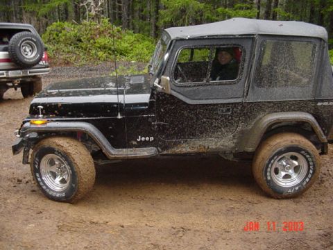 1989 Ford Bronco - He looks happy