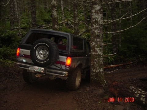 1989 Ford Bronco - Thru the trees to the next section