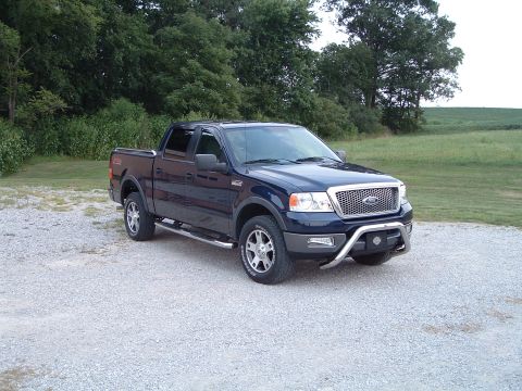 2005 Ford F-150 - This dark blue 2005 Ford F-150 pickup truck is shown from a three-quarter front view, a prominent chrome bull bar on its front bumper.