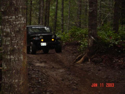 1989 Ford Bronco - Now comes the Jeep