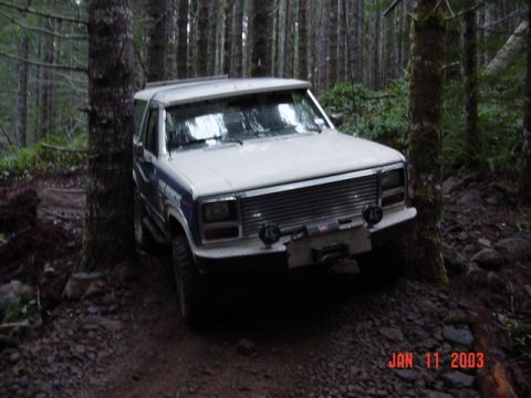 1989 Ford Bronco - Todd thru the trees