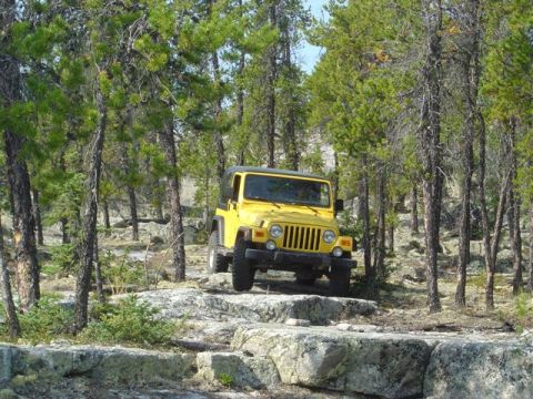 1986 Ford F-150 - A yellow Jeep Wrangler navigates a rocky path through a dense forest.