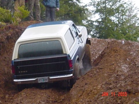 1989 Ford Bronco - Tried very hard but NO