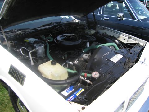 1991 Ford LTD Crown Victoria - Open engine bay of a white car lettered SHERIFF, showing a V8 with black air cleaner, plastic coolant reservoir and green hoses.