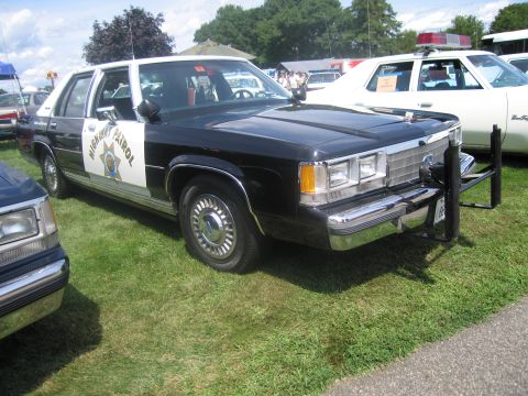 1991 Ford LTD Crown Victoria - Front-three-quarter view of a black-and-white Highway Patrol Ford LTD Crown Victoria with star decal and push bar, on grass.