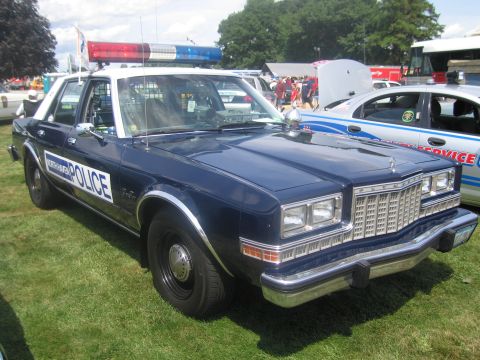 1991 Ford LTD Crown Victoria - blue and white police cruiser with a chrome grille and roof lightbar is displayed on grass among other show vehicles.