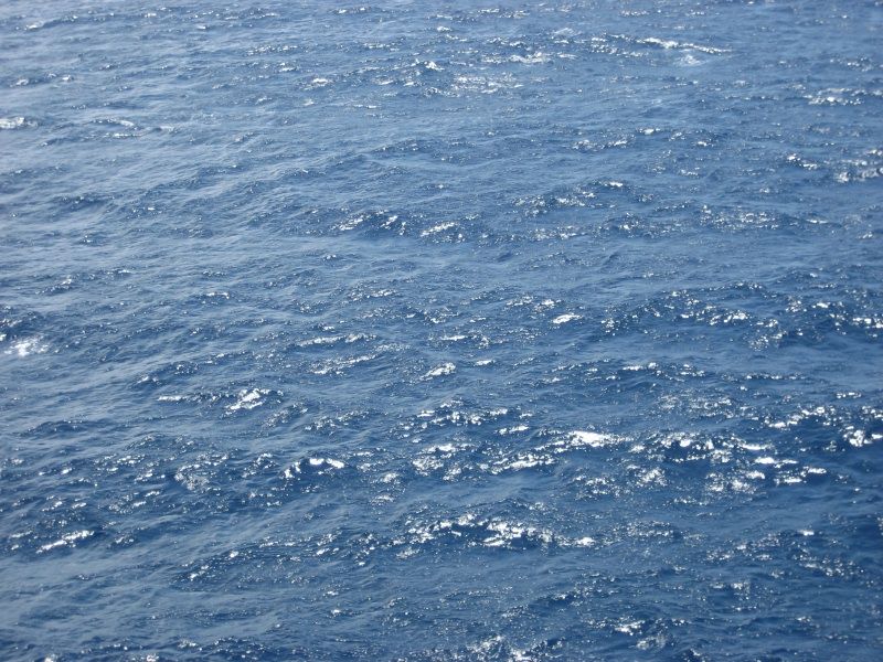 Puerto Rico Water