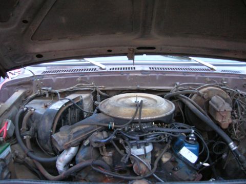 1978 Ford F-250 - The engine bay is visible with the hood open, revealing the engine components and wiring.