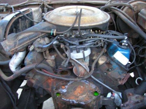 1978 Ford F-250 - The engine compartment is filled with various hoses, wires, and engine components, showing signs of wear and tear.