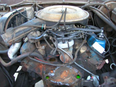 1978 Ford F-250 - The engine compartment of a 1978 Ford F-250 shows a V8 engine with its air cleaner and distributor visible.