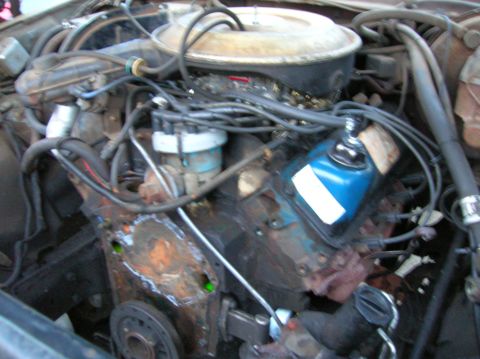 1978 Ford F-250 - Close-up view of a V8 engine, showing various parts and wiring harnesses.