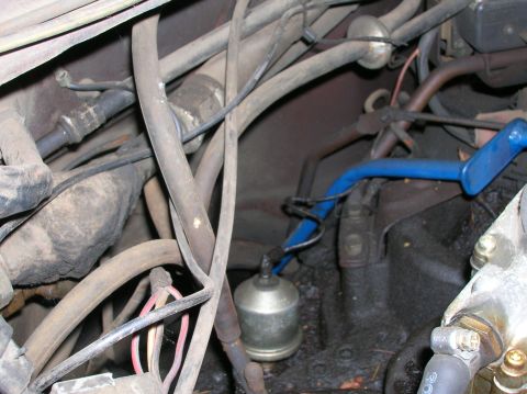 1978 Ford F-250 - Close-up of engine bay components including fuel filter and various hoses.