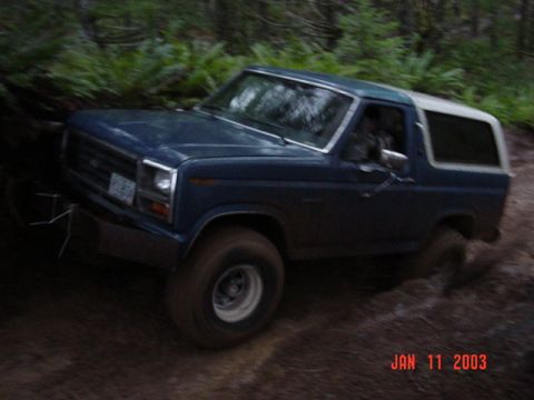 1989 Ford Bronco - Um, you know what this root does right Bernie, Kurt, Greg, etc...?