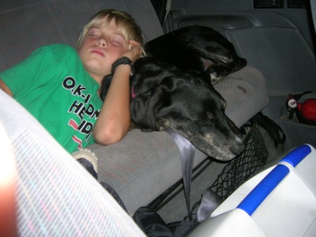 1995 Ford Bronco - A young boy and two dogs nap together inside a vehicle's interior.
