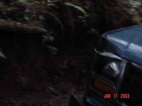 1989 Ford Bronco - Kinda like this?