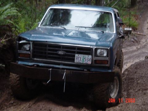 1989 Ford Bronco - Ow it poked him in the eye....