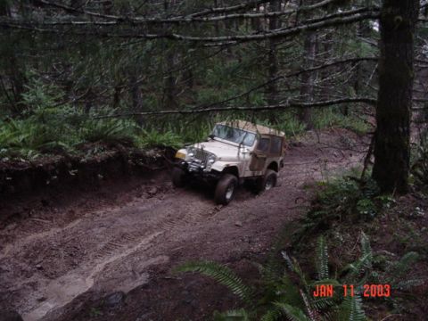 1989 Ford Bronco - Jeep came up pretty fast