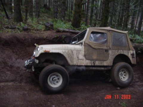 1989 Ford Bronco - Still going