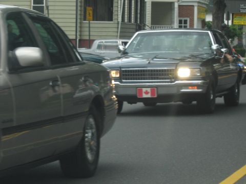 1991 Ford LTD Crown Victoria - dark sedan displaying a Canadian flag plate drives beside a tan sedan in a procession on a tree-lined street.