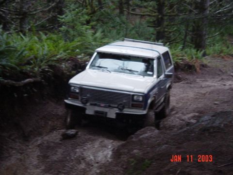 1989 Ford Bronco - Almost to the root