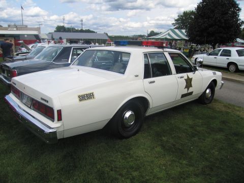 1991 Ford LTD Crown Victoria - Rear three-quarter view of a white Sheriff sedan with gold star decal parked on grass at a fairground car show.