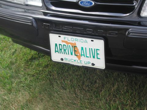 1991 Ford LTD Crown Victoria - Close-up of a green-and-white Florida 'ARRIVE ALIVE / BUCKLE UP' license plate on the front of a black Ford Mustang showing the Ford oval a…