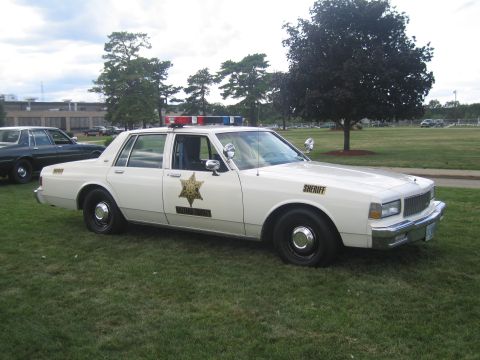 1991 Ford LTD Crown Victoria - cream-colored sheriff's sedan with a gold star door decal and roof lightbar parked on a grassy field.