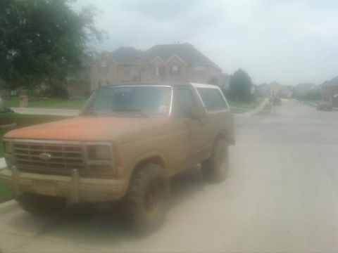 1982 Ford Bronco photo
