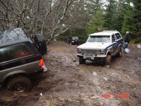 1989 Ford Bronco - Were gonna try to winch back out
