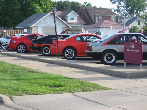 1978 Ford Mustang II - Multiple Ford Mustangs are lined up, different generations of the iconic muscle car.