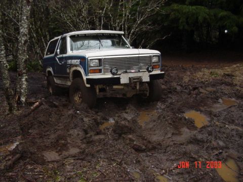 1989 Ford Bronco - Or not....He's stuck