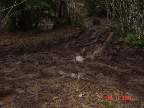 1989 Ford Bronco - After winching himself out, this is the mess