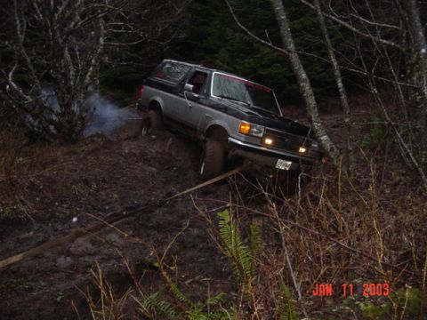1989 Ford Bronco - Kinda pulling like this